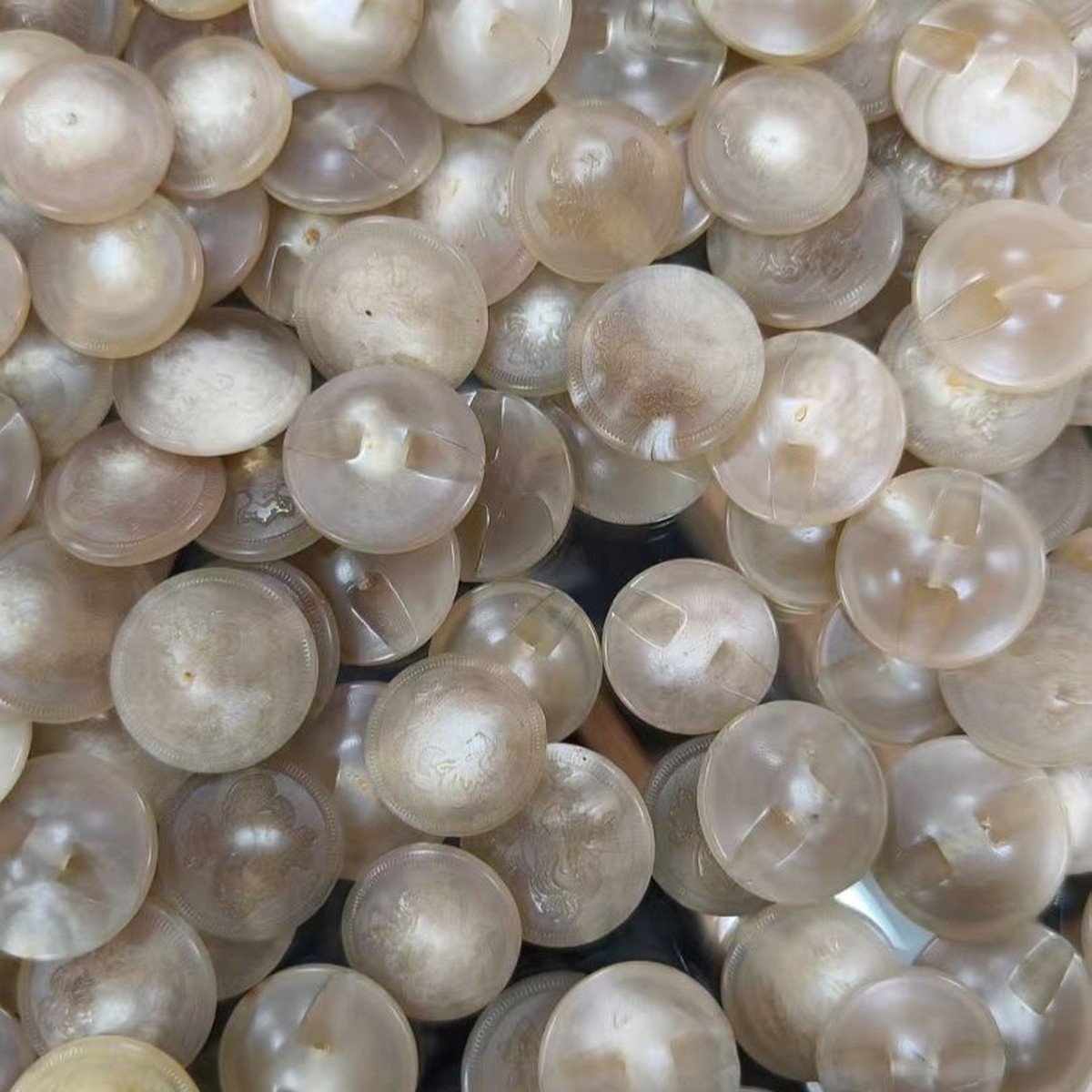 天然水牛角ボタン 15